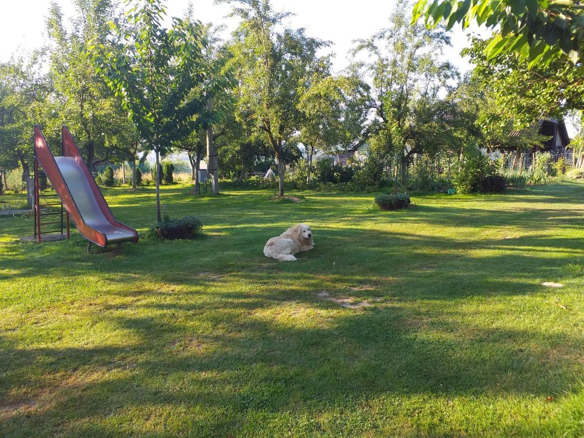 Camping Lukac กูตินา ภายนอก รูปภาพ