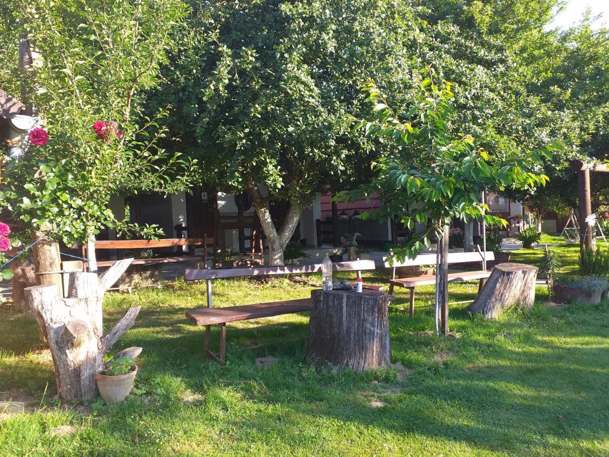 Camping Lukac กูตินา ภายนอก รูปภาพ